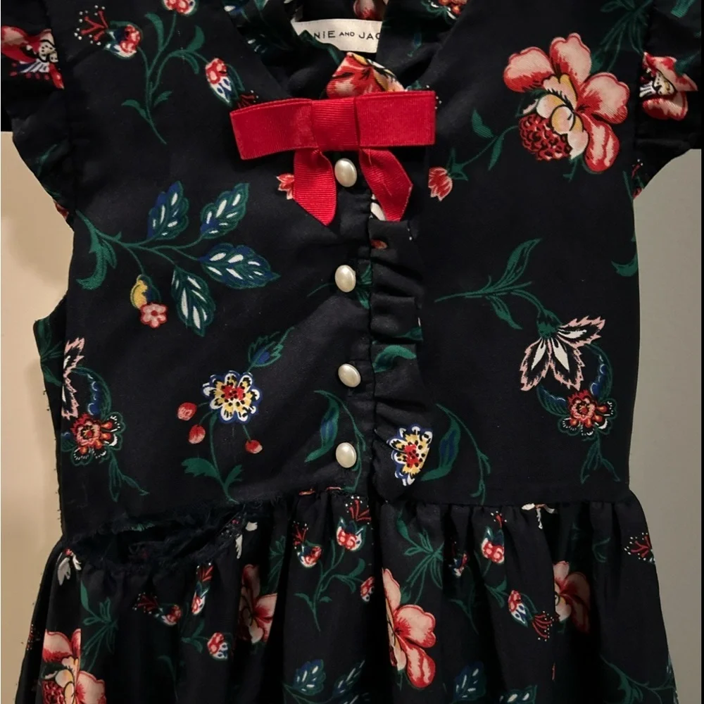 Janie and Jack Dark Blue Floral Dress with Red Accent